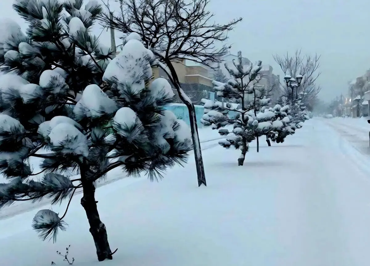 هواشناسی مازندران نسبت به وقوع سیلاب، کولاک برف و یخبندان هشدار داد