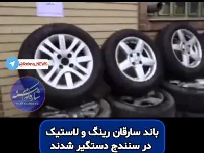 باند سارقان رینگ و لاستیک در سنندج متلاشی شد + فیلم