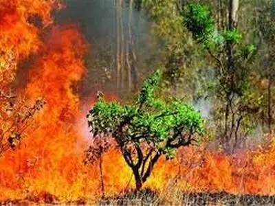 ۸ ساعت انجام عملیات هوایی برای مهار آتش‌سوزی جنگل‌های پاسارگاد 