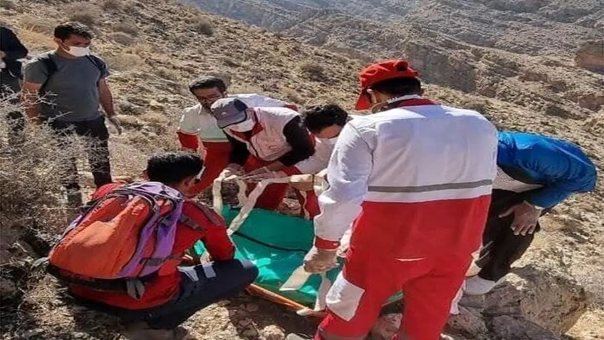 برداشت گیاهان کوهی در آذربایجان غربی قربانی گرفت