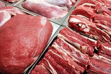 آذربایجان غربی رتبه چهارم  تولید گوشت قرمز کشور را به خود اختصاص داد/ ارسال بیش از یک هزار و ۶۰۰ تن گوشت گرم دامی به سایر استان ها 