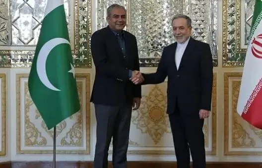 وزیر کشور پاکستان امشب وارد تهران می‌شود؛ پرونده انصارالله روی میز رایزنی