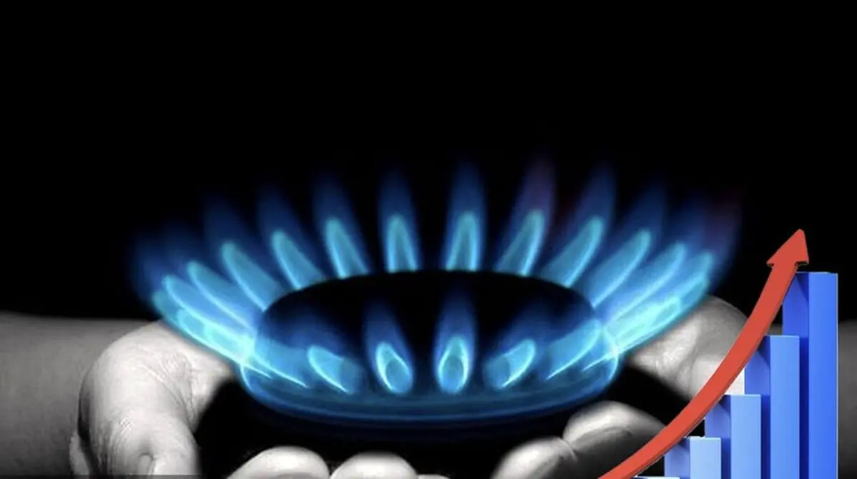 مصرف ۷۱ درصد گاز کشور در بخش خانگی و تجاری