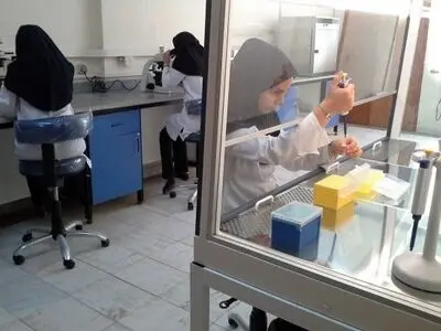 زندگیِ سختِ کارشناسان آزمایشگاه‌ها با «حداقل حقوق وزارت کار»/ چاره‌ای جز شغل دوم نیست!