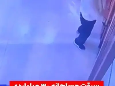 سرقت مسلحانه ۳۰ میلیاردی + فیلم