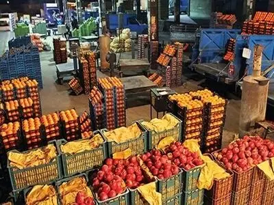 تامین میوه شب عید در استان کرمانشاه 