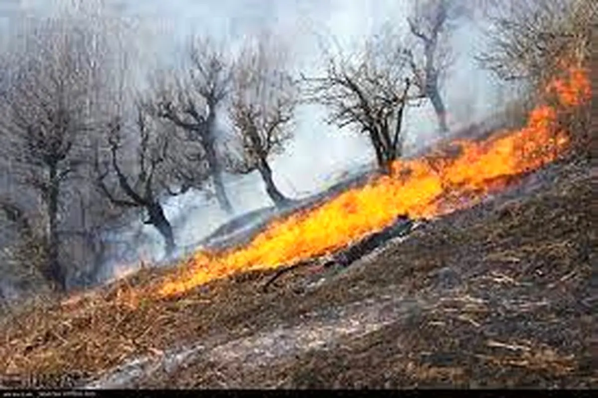 کاهش 67 درصدی حریق در مراتع و جنگل‌های استان سمنان