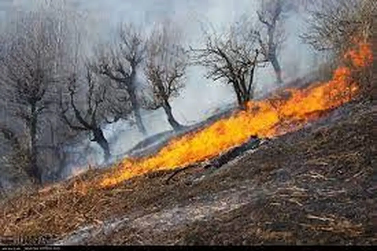کاهش 67 درصدی حریق در مراتع و جنگل‌های استان سمنان