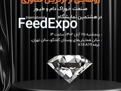 حدس و گمان‌های پیرامون شرکت صاشکو