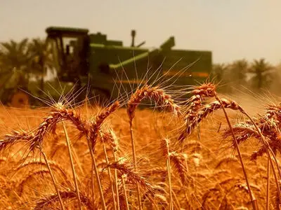 ذخیره‌سازی 54 هزار تن گندم مازاد بر نیاز کشاورزان در استان مرکزی