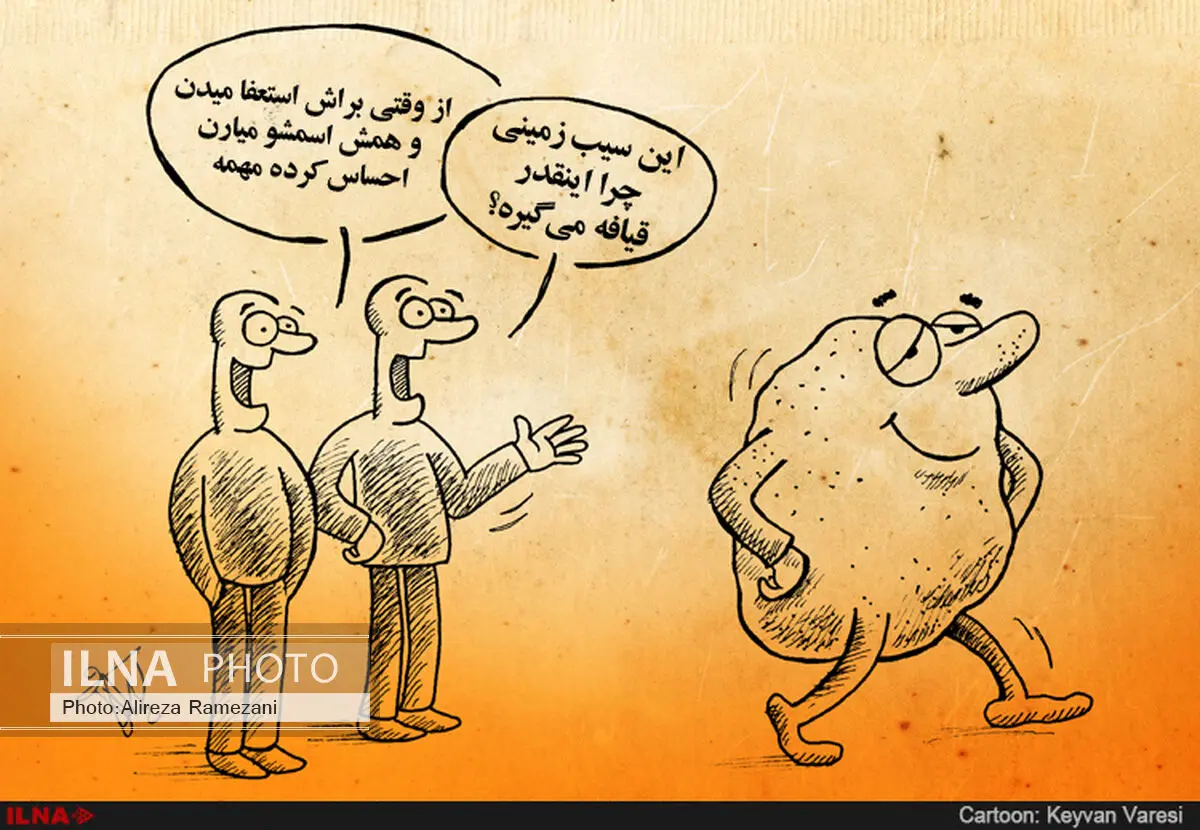 سیب زمینی و اهمیت آن در سیاست!