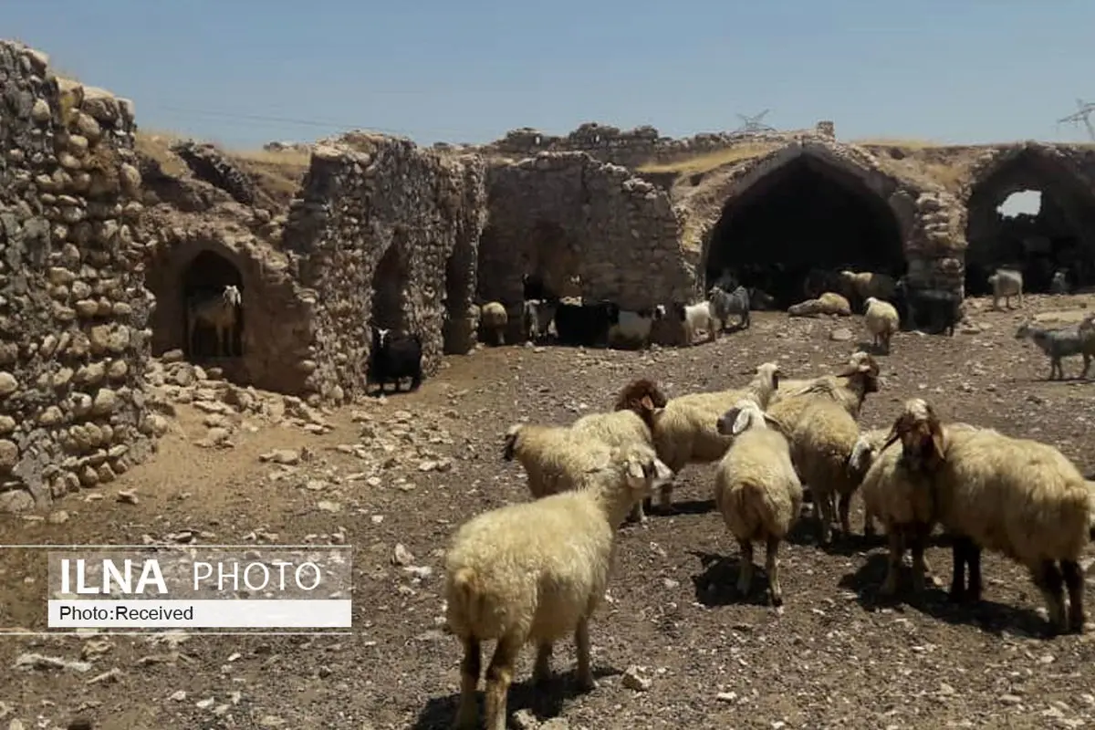 تغییر کاربری قلعه کاروانسرای رزه اندیمشک به سرپناهی برای احشام/ مخدوش شدن چهره بنا با انباشت کود حیوانی/ تخریب دیوار‌های درونی قلعه در اثر تردد دام 