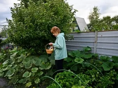 توصیه دانشمندان برای پیشگیری از زوال عقل