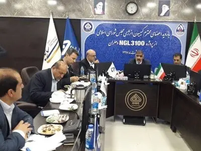 نیمی از نیروهای شاغل در ان جی ال دهلران بومی هستند