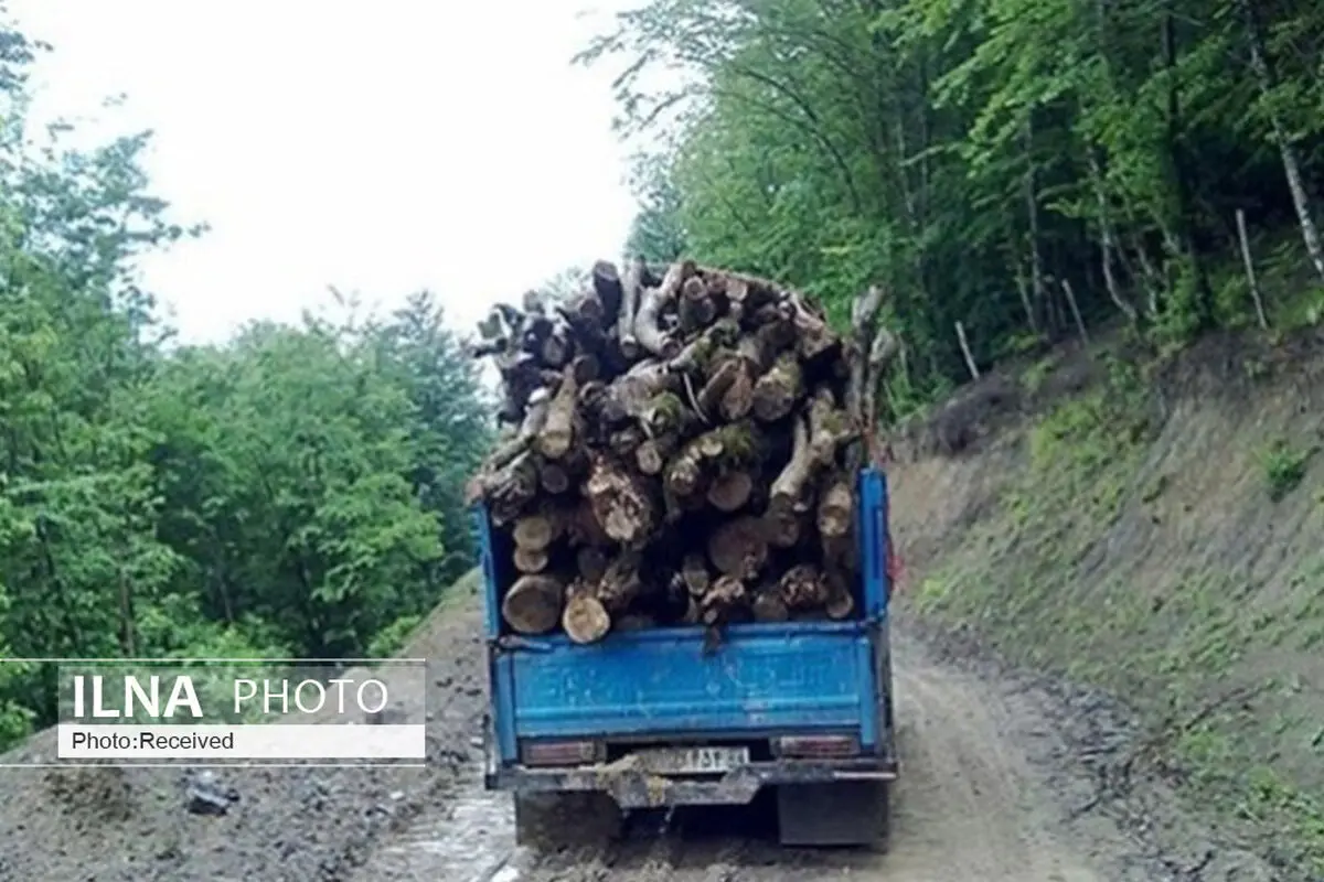 کشف 5 تن چوب قاچاق در شهرستان تاکستان/ ۱۰ کیلو مواد مخدر در تاکستان کشف شد
