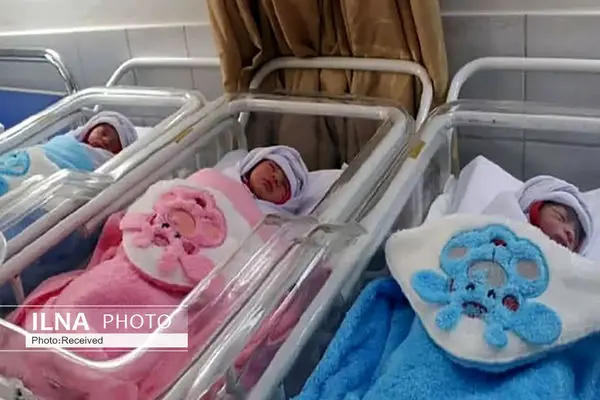 ۵۹۳ خانواده دارای فرزندان چندقلو زیر چتر حمایت بهزیستی البرز