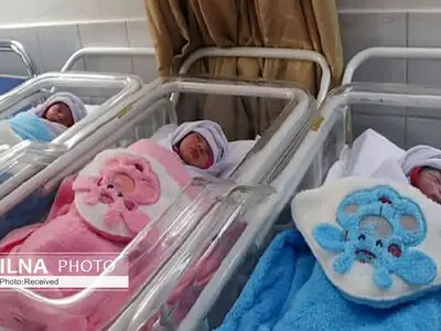 ۵۹۳ خانواده دارای فرزندان چندقلو زیر چتر حمایت بهزیستی البرز