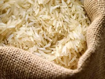 گام مهم برای کاهش قیمت برنج وارداتی / برنج کیفی پاکستان در راه ایران