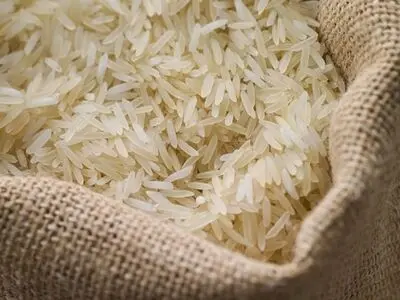 گام مهم برای کاهش قیمت برنج وارداتی / برنج کیفی پاکستان در راه ایران