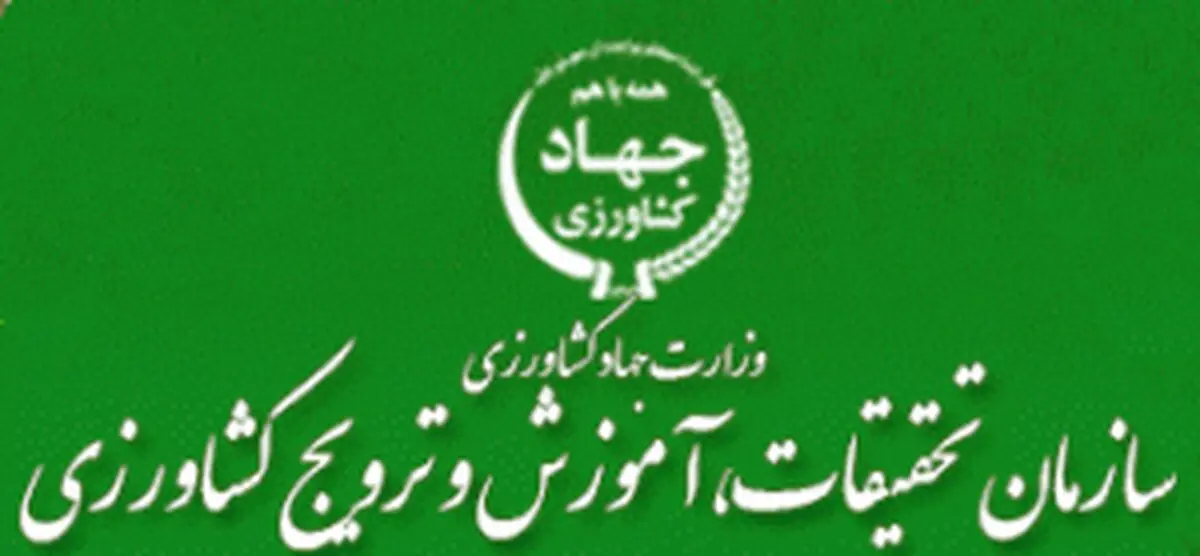 جلوگیری از خروج 2/5 میلیارد دلار ارز با فعالیت سازمان تات/ افزایش 400 درصدی تولید محصولات زراعی بر اثر رسوخ دانش در مزارع

