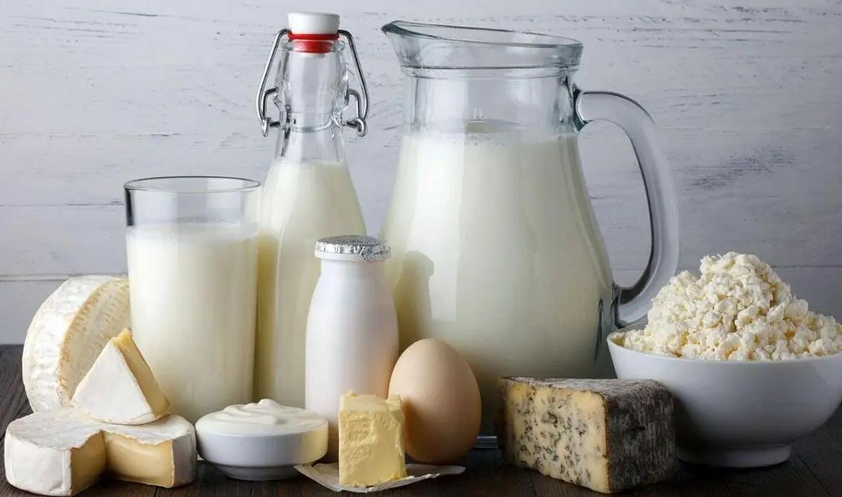تلاش برای تولید استارتر کالچرهای صنایع لبنی باکیفیت در ایران/  تولید پروبیوتیک‌های باکیفیت و قابل رقابت