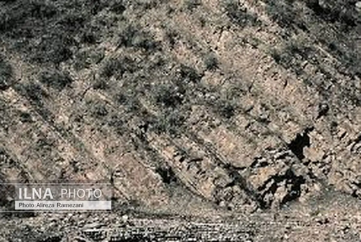 اثبات ذخایر قابل قبول شیل های نفتی در منطقه قالی کوه لرستان
