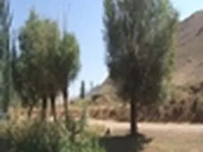 منطقه جوشقان قالی، امکان و قابلیت جذب گردشگر در تمامی فصول را دارد
