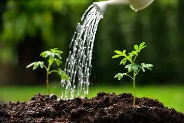 کاهش منابع آبی تا 40 درصد قطعی است / وزارت نیرو 51 میلیارد مترمکعب آب برای بخش کشاورزی تخصیص داد