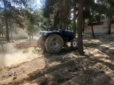 asdasd