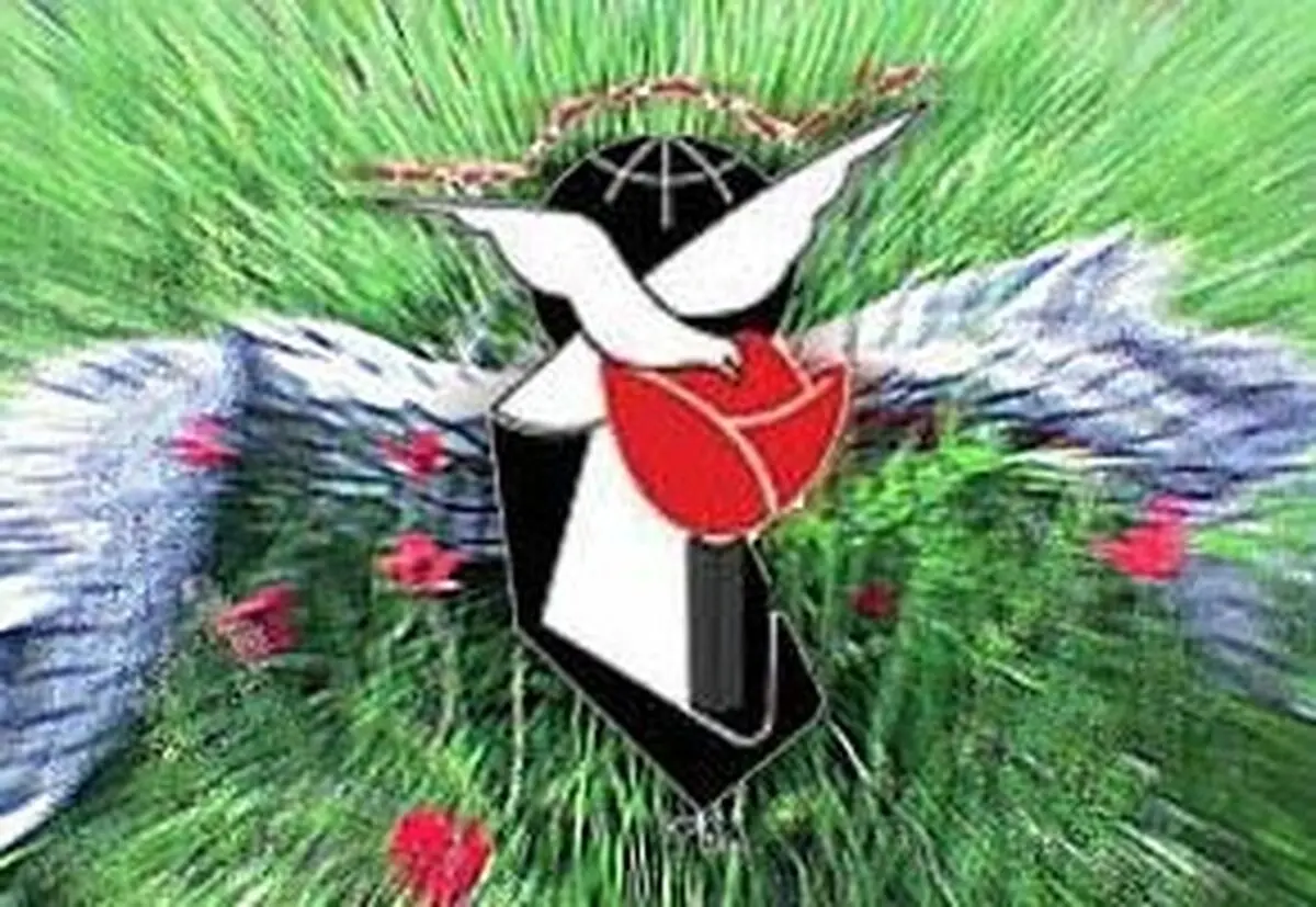 اعلام آمادگی بنیاد شهید و امور ایثارگران برای انجام وظایف قانونی در مورد جان‌باختگان حوادث اخیر