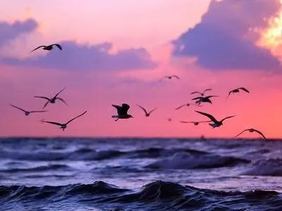 سومین «کشتی آزادی» فردا تلاش برای شکست حصر غزه را آغاز می‌کند