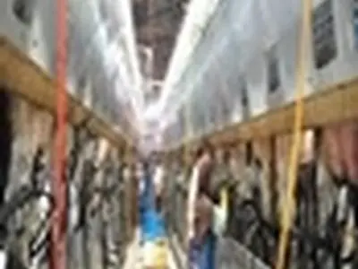 ۲ درصد «گاوداری‌های صنعتی کشور» در استان البرز واقع است