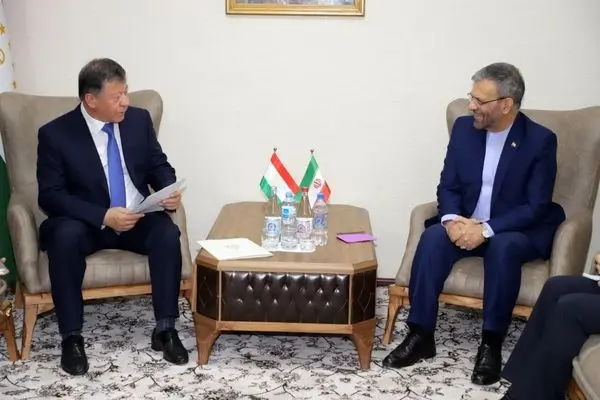 Iranian envoy meets Tajikistan's interior minister in Dushanbe