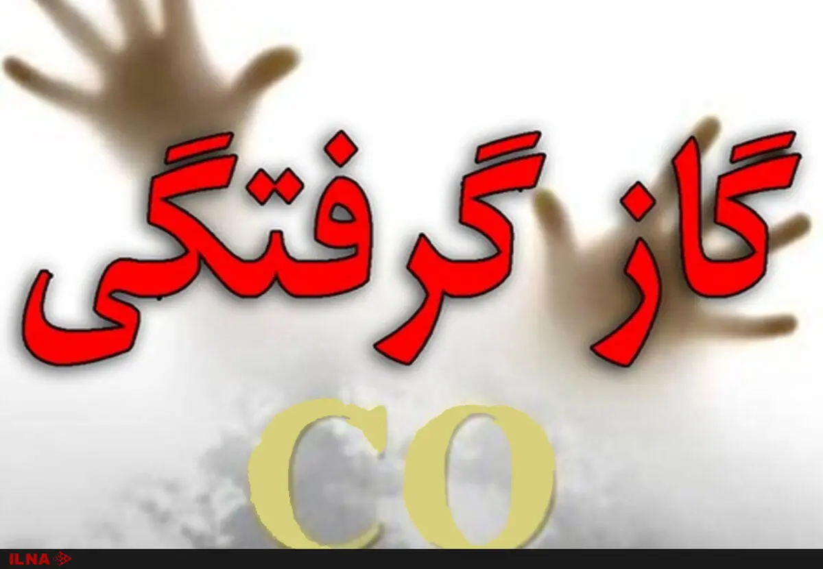 ۱۲ نفر در تبریز دچار گاز گرفتگی شدند
