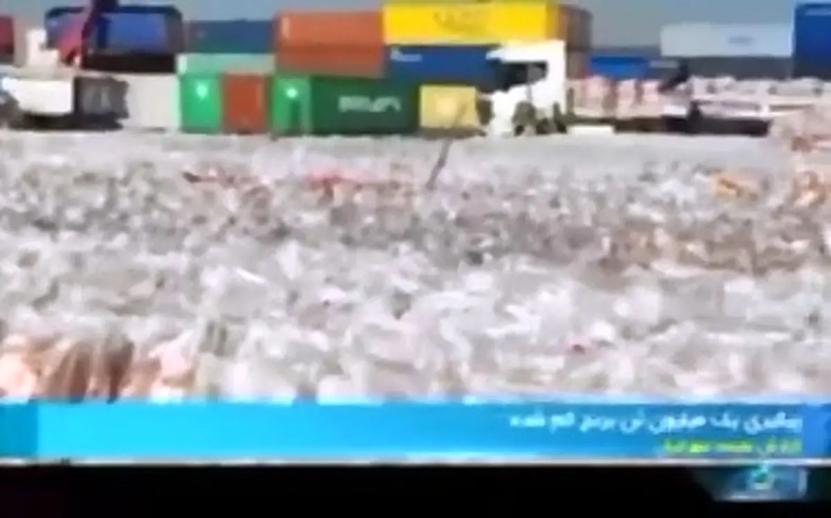 ماجرای گم‌شدن ۱ میلیون تن برنج چه بود؟ + فیلم