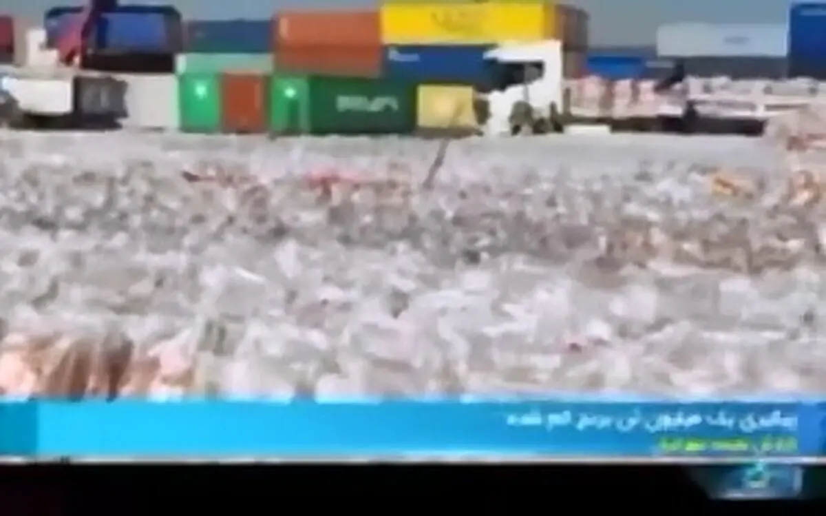 ماجرای گم‌شدن ۱ میلیون تن برنج چه بود؟ + فیلم