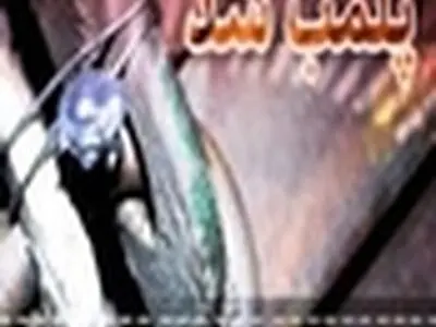 پلمپ یک واحد سردخانه در باغملک