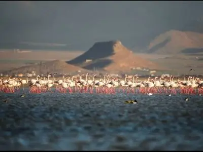 خاک‌برداری و تخریب محوطه باستانی قلعه‌نو اراک توسط افراد سودجو / هجوم بلودوزرها به محوطه باستانی 6000 ساله 