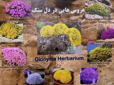 چهارمحال و بختیاری قطب مطالعاتی عروس سنگ می شود