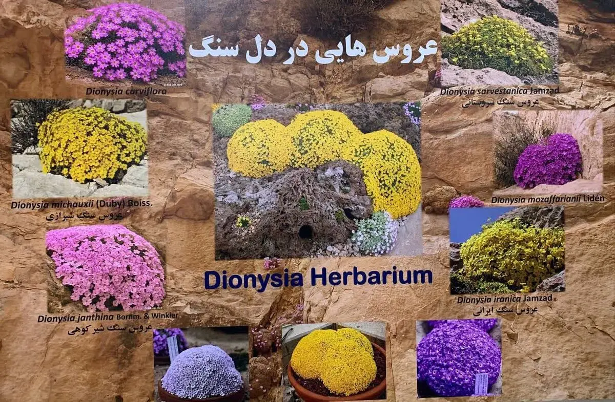 چهارمحال و بختیاری قطب مطالعاتی عروس سنگ می شود
