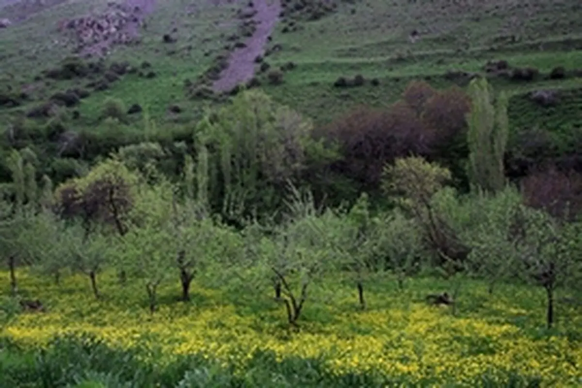 فرهنگ سازی در زمینه منابع طبیعی باید به بطن جامعه القا شود