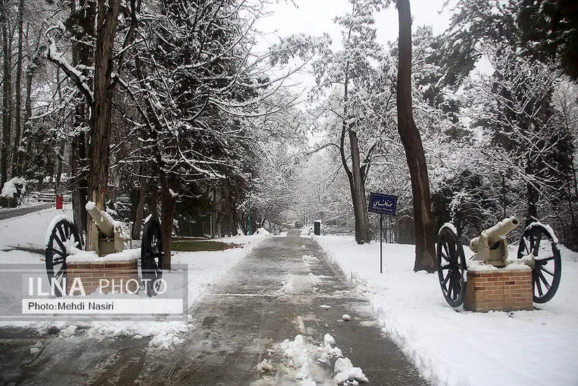 برف زمستانی در سعدآباد