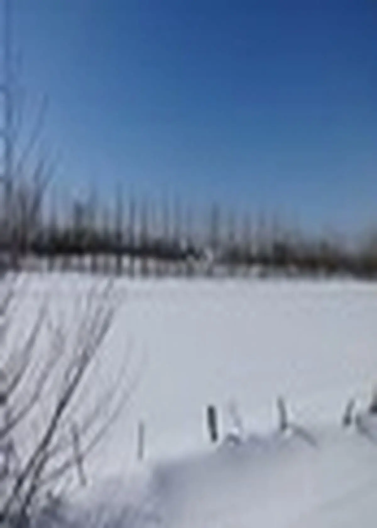 بارش در ۲۹ استان کشور