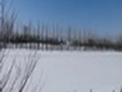 بارش در ۲۹ استان کشور