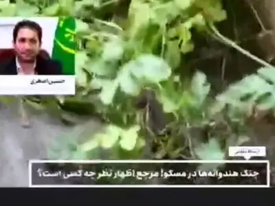 آلودگی هندوانه‌های ایرانی صحت ندارد! + فیلم