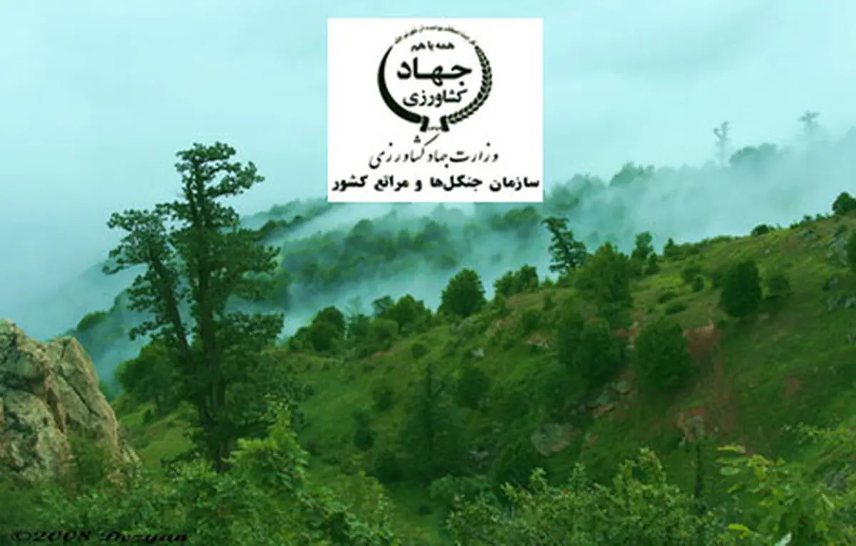 اختصاص پست سازمانی به نیروهای یگان حفاظت منابع طبیعی / ورود ۸۶۰ نفر نیرو به مجموعه منابع طبیعی