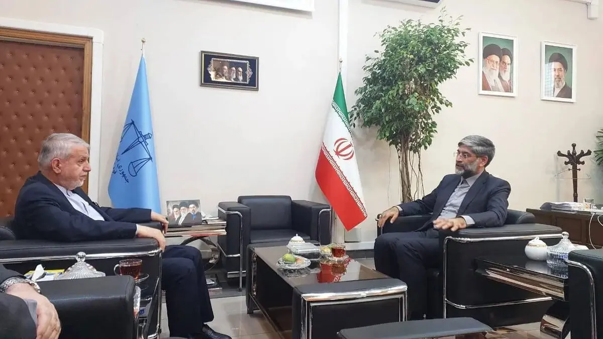 دیدار صالحی امیری با رئیس کل دادگستری تهران/ همکاری میراث فرهنگی و دستگاه قضا