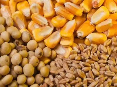 استفاده از ذخایر پشتیبانی امور دام در راستای تأمین نهاده استان مرکزی