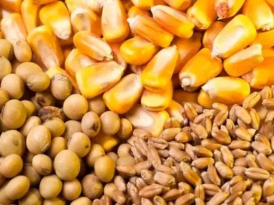 استفاده از ذخایر پشتیبانی امور دام در راستای تأمین نهاده استان مرکزی