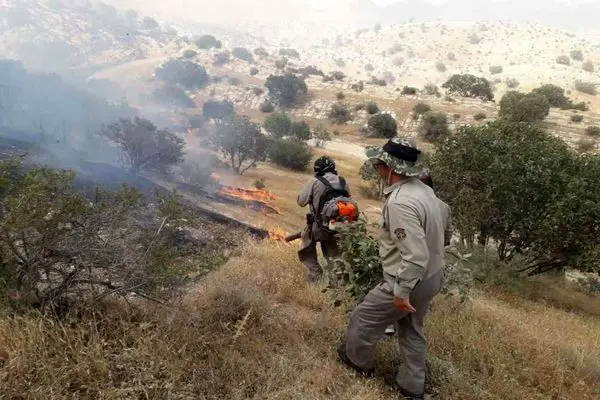رعد و برق دو منطقه جنگلی را در شهرستان گیلانغرب به آتش کشید